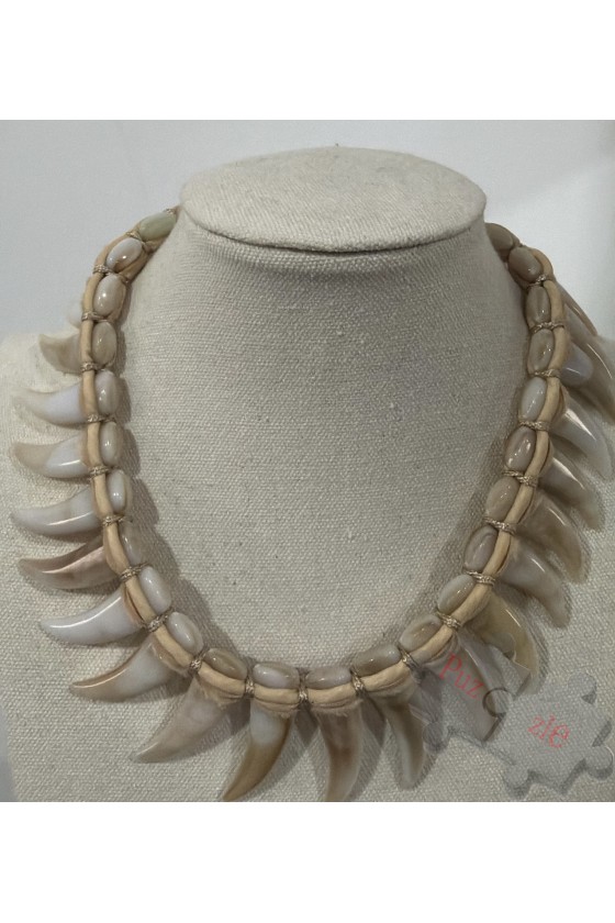 Md.Collar hueso