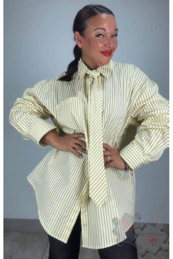 Md.Diplomatico amarillo